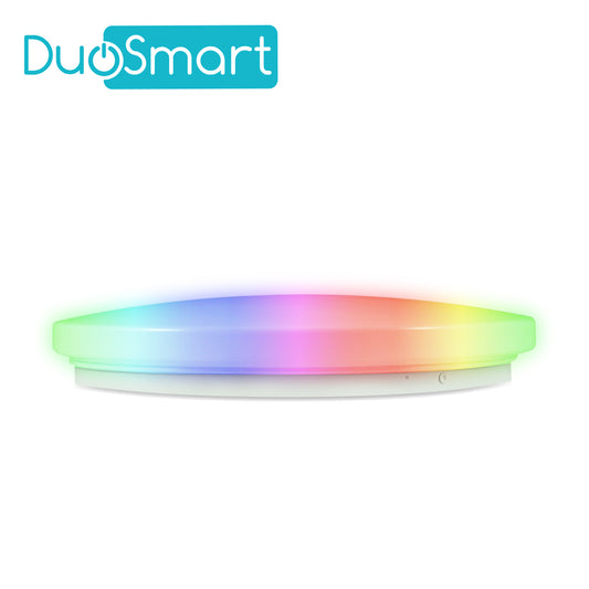 Lámpara de techo inteligente multicolor RGB WiFI DUOSMART S20